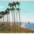 Barbados Caribbean Island Postcard Bathsheba Coast Lin Through The Palms