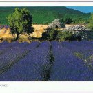 France Postcard La Provence