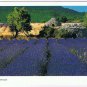 France Postcard La Provence