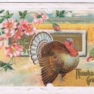 Holiday Postcard Embossed Thanksgiving Turkey Wild Roses
