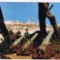 Marocco Postcard Tanger Mendubia