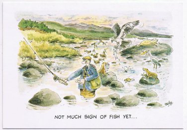 United Kingdom UK Postcard Comic Not Much Sign Of Fish