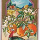Holiday Postcard Embossed Thanksgiving Joys Turkey Oranges