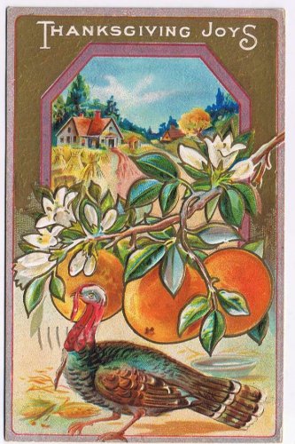Holiday Postcard Embossed Thanksgiving Joys Turkey Oranges