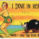 Postcard Dove In Here When I Saw The Bear Behind