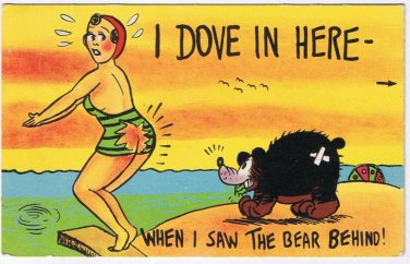 Postcard Dove In Here When I Saw The Bear Behind