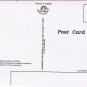 Florida Postcard Amelia Island Vacation Playground Multi View