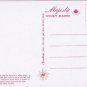 Canada Postcard Chickaree Cheeky Red Squirrel