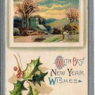 Holiday Postcard Embossed New Year Building Farmer Apple Trees