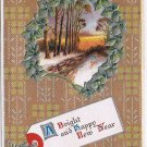 Holiday Postcard Bright Happy New Year Sunset Woods