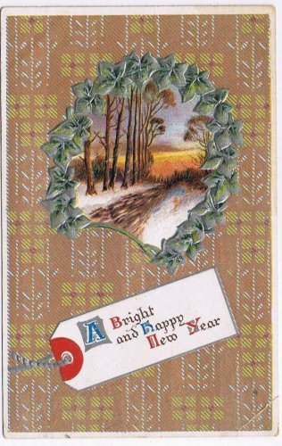 Holiday Postcard Bright Happy New Year Sunset Woods