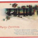 Holiday Postcard Christmas Pine Cones & Christmas Snow Scene