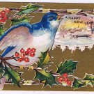 Holiday Postcard Embossed Happy New Year Bluebird Mistletoe Snow Scene