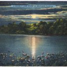 Postcard Moonlit Lake Scene In Southern Florida