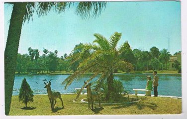 Florida Postcard Port Richey Pithlachascotee River