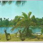 Florida Postcard Port Richey Pithlachascotee River