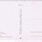 France Postcard Castellane Multi View Rocher Verdon