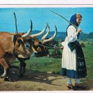 Portugal Postcard Minho Woman Leading Oxen