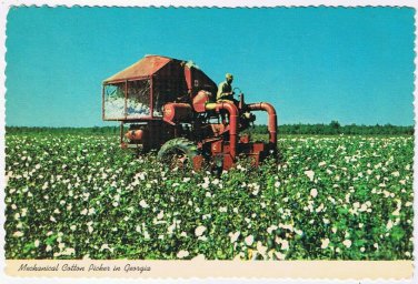 Postcard Mechanical Cotton Picker In Georgia
