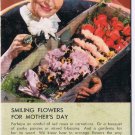 Hamilton Ontario Advertising Card Ink Blotter Nellie Whitley Flowers
