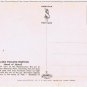 Postcard Kilauea Volcano Eruption Island Of Hawaii