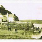 United Kingdom UK Nostalga Postcard Collectors Club King Harry Ferry