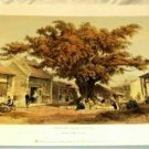 Hong Kong Museum Collection Auguste Borget A Village Square On The Island 1838