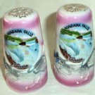 Souvenir Salt & Pepper Shakers Niagara Falls Canada Pink