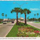 Florida Postcard Clearwater Palm Lined Causeway Connecting Clearwater To Beach