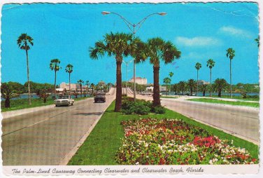 Florida Postcard Clearwater Palm Lined Causeway Connecting Clearwater To Beach