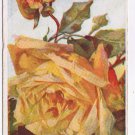 Greetings Postcard Birthday Large Yellow Rose Of Friendship Undivided Back