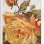 Greetings Postcard Birthday Large Yellow Rose Of Friendship Undivided Back