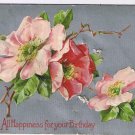 Greetings Postcard Embossed All Happiness For Your Birthday Roses Stedman Bros
