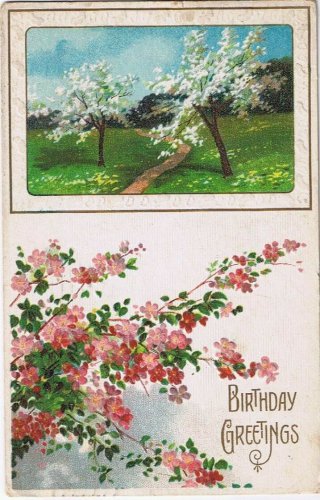 Postcard Embossed Birthday Greetings Apple Orchard Woodstock 1911