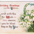 Greetings Postcard Embossed Birthday Greetings Basket White Flowers 1910