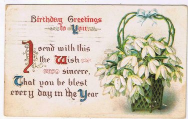 Greetings Postcard Embossed Birthday Greetings Basket White Flowers 1910