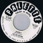 The Gee Sisters PROMO Telstar 45 rpm Andy Palette Records