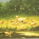 Art Postcard Womens Weekly Constant Artz Ducklings By River's Edge