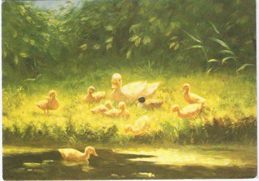 Art Postcard Womens Weekly Constant Artz Ducklings By River's Edge