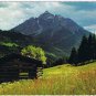 Austria Postcard Die Serles Mountains Log Shelter
