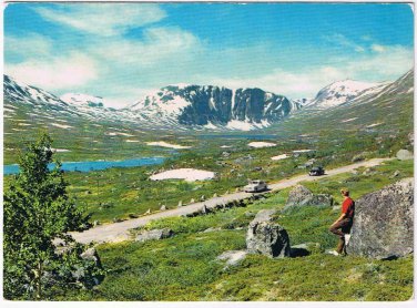Norway Postcard Breidalen Valley Vegen Grotli