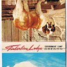 Matchbook Cover Timberline Lodge Oregon Ski Hills St Bernard