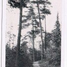 Minnesota Postcard RPPC Duluth Lester Park Smaller Card
