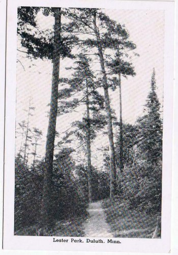 Minnesota Postcard RPPC Duluth Lester Park Smaller Card