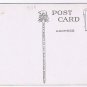 California Postcard Big Tree Groce Bridge Santa Cruz Mountains 1908