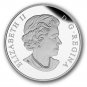 2015 $20 Pure Silver Coin Painted Turtle Murano Glass Canada Mint RCM