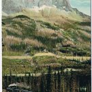 Postcard Cathedral Peak From New Grade Field British Columbia Canadian Rockies