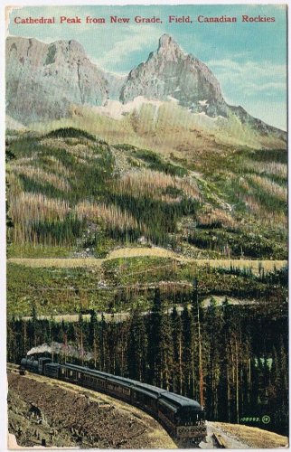 Postcard Cathedral Peak From New Grade Field British Columbia Canadian Rockies