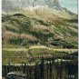 Postcard Cathedral Peak From New Grade Field British Columbia Canadian Rockies