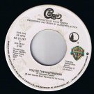 Chicago You're The Inspiration 45 rpm Once In A Lifetime Canadian Pressing